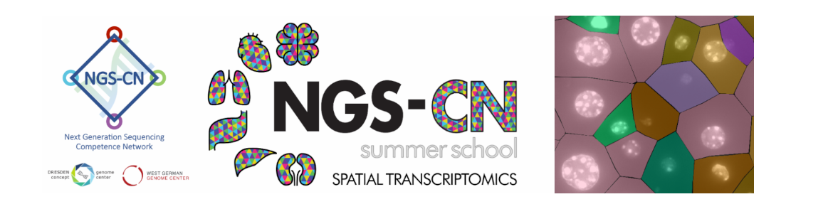 NGS-CN Summer School 2025